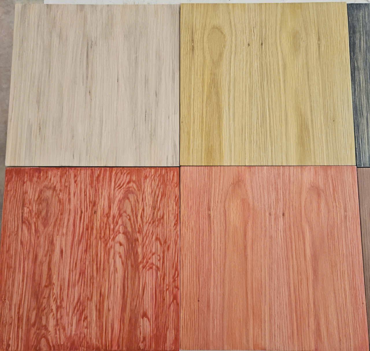 Tông lạnh và trung tính — Cool and neutral tones